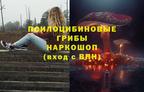 ГАЛЛЮЦИНОГЕННЫЕ ГРИБЫ Володарск