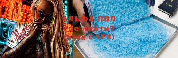 прущие грибы Навашино