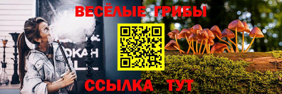 Карасук  Псилоцибиновые грибы Psilocybine cubensis  Вход с VPN  Галлюциногенные грибы ЛСД 