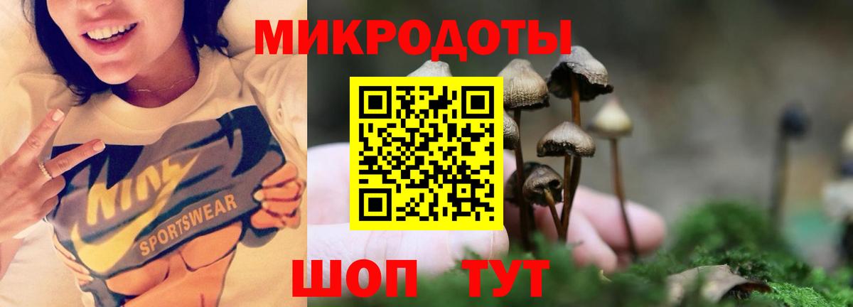 Псилоцибиновые грибы Psilocybine cubensis Карасук